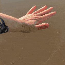 Sukella - Otso Pohjola 2025